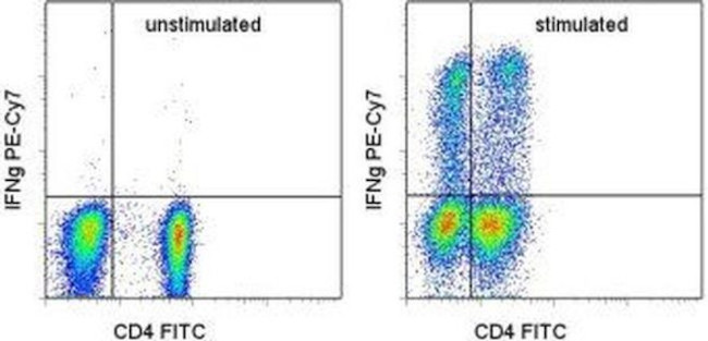 IFN gamma Antibody in Flow Cytometry (Flow)