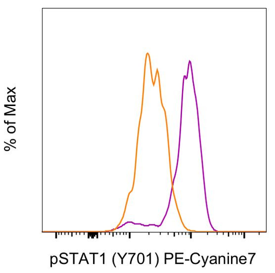 Phospho-STAT1 (Tyr701) Antibody in Flow Cytometry (Flow)