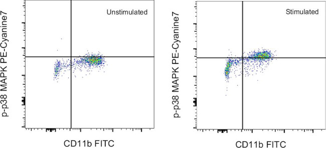 Phospho-p38 MAPK (Thr180, Tyr182) Antibody in Flow Cytometry (Flow)