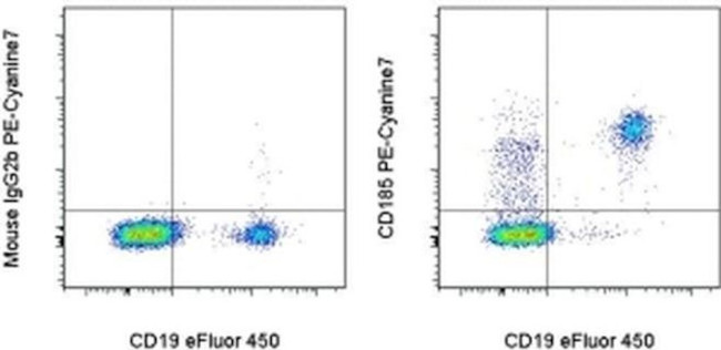 CD185 (CXCR5) Antibody in Flow Cytometry (Flow)