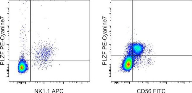 PLZF Antibody in Flow Cytometry (Flow)