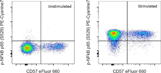 Phospho-NFkB p65 (Ser529) Antibody in Flow Cytometry (Flow)