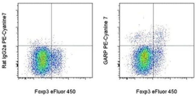 GARP Antibody in Flow Cytometry (Flow)