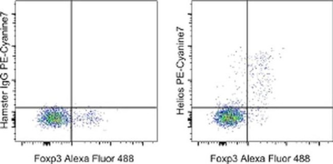 HELIOS Antibody in Flow Cytometry (Flow)