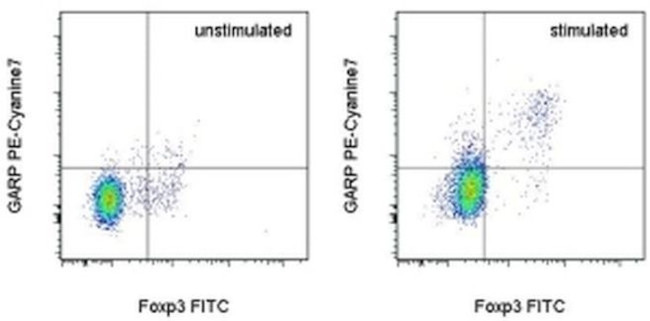 GARP Antibody in Flow Cytometry (Flow)