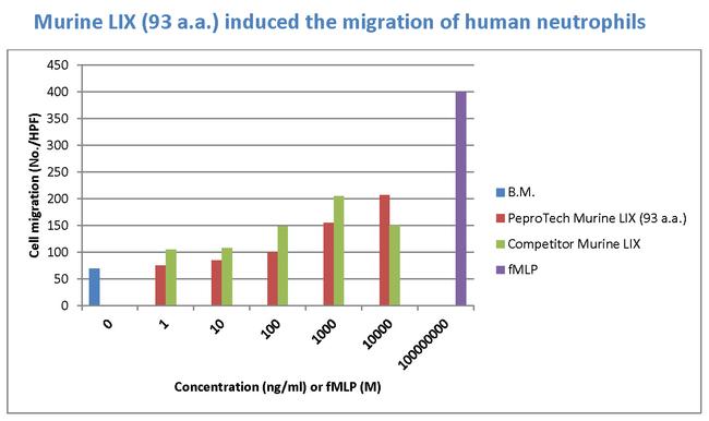 Mouse LIX (CXCL6) (92 aa) Protein in Functional Assay (Functional)