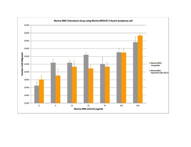 Mouse CCL22 (MDC) Protein in Functional Assay (FN)