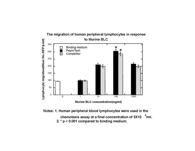 Mouse CXCL13 (BLC/BCA-1) Protein in Functional Assay (Functional)