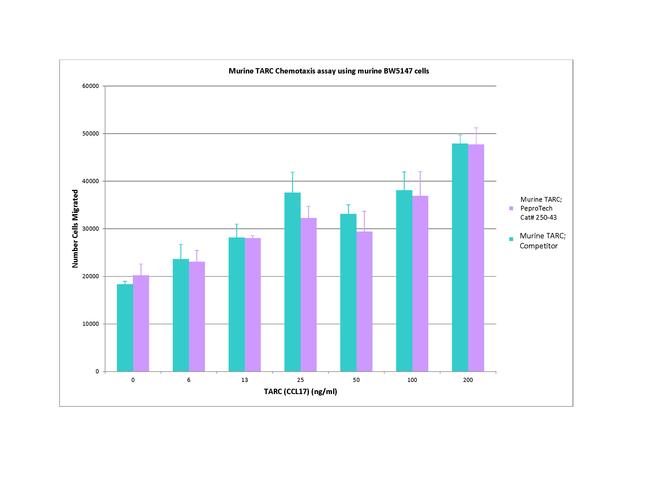 Mouse CCL17 (TARC) Protein in Functional Assay (Functional)