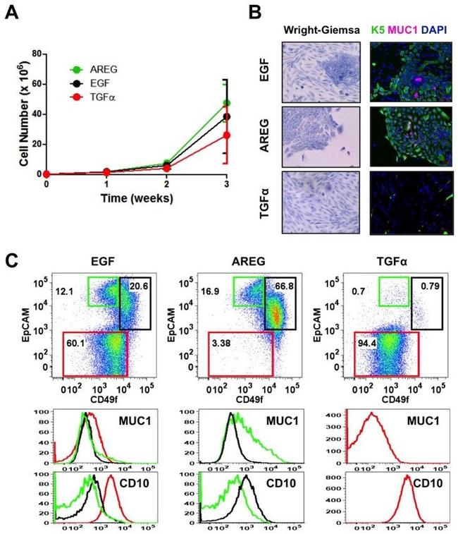 CD49f (Integrin alpha 6) Antibody in Flow Cytometry (Flow)