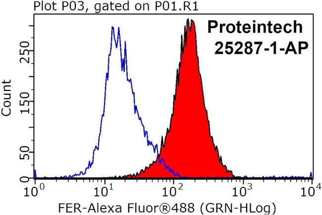 FER Antibody in Flow Cytometry (Flow)