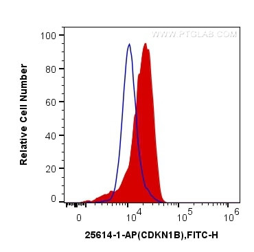 P27/KIP1 Antibody in Flow Cytometry (Flow)