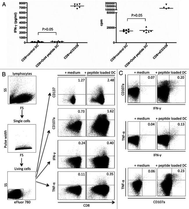 TNF alpha Antibody in Flow Cytometry (Flow)