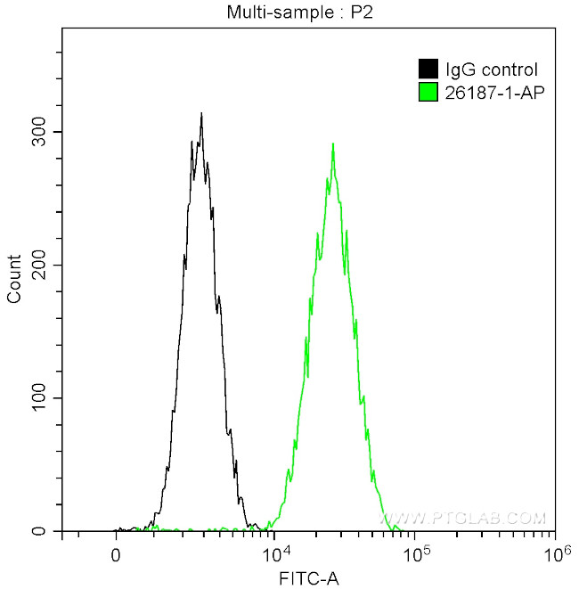 DRP1 (N-terminal) Antibody in Flow Cytometry (Flow)