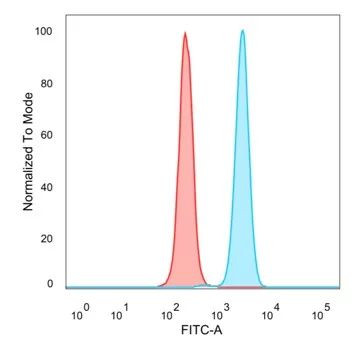 GATA4 Antibody in Flow Cytometry (Flow)