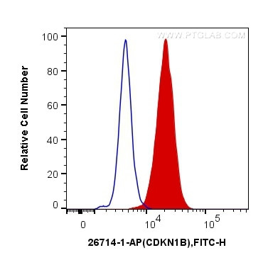 P27/KIP1 Antibody in Flow Cytometry (Flow)