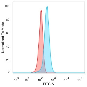 FOXB1 (Transcription Factor) Antibody in Flow Cytometry (Flow)