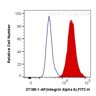 Integrin alpha-6 Antibody in Flow Cytometry (Flow)