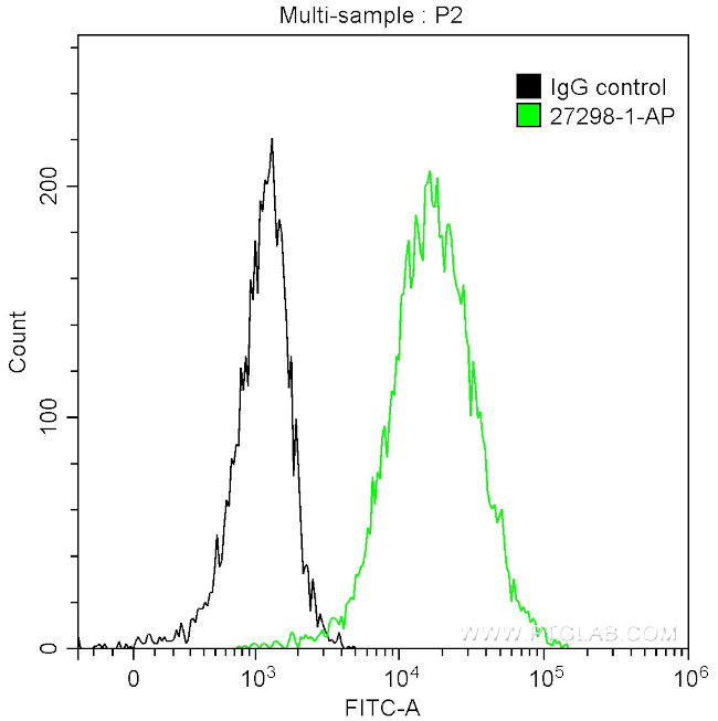 Calreticulin Antibody in Flow Cytometry (Flow)