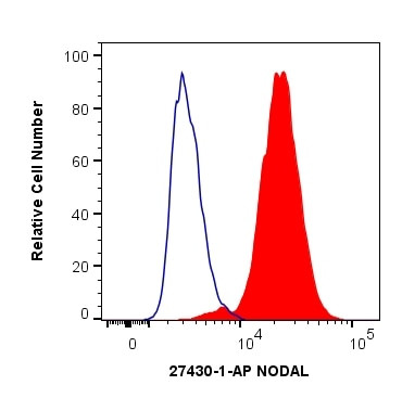 NODAL Antibody in Flow Cytometry (Flow)