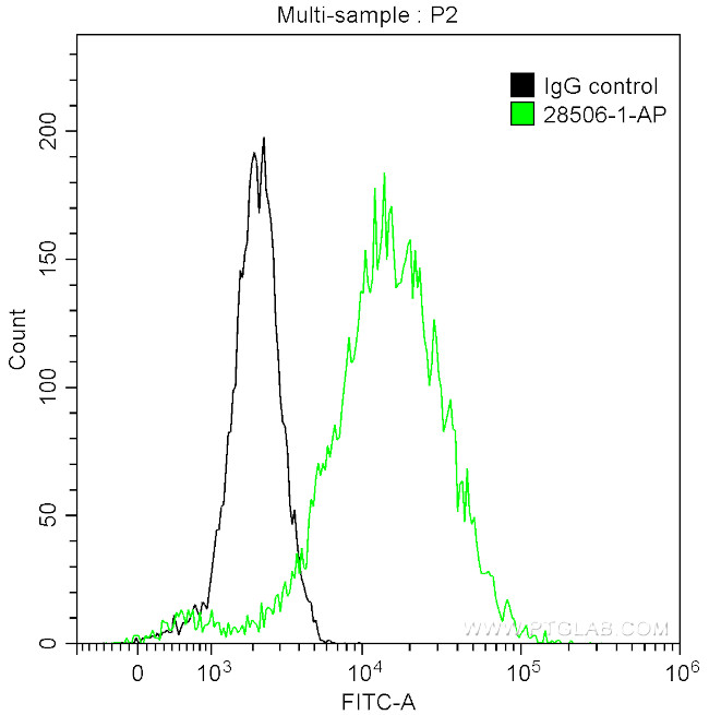 Cytokeratin 5 Antibody in Flow Cytometry (Flow)