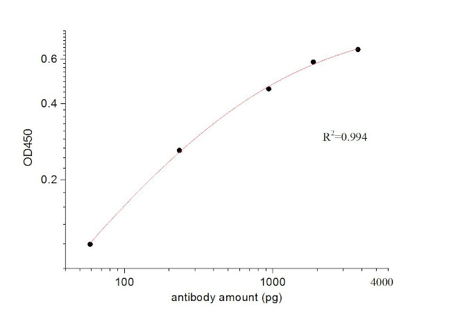 SARS-CoV-2 Nucleocapsid Phosphoprotein Antibody in ELISA (ELISA)