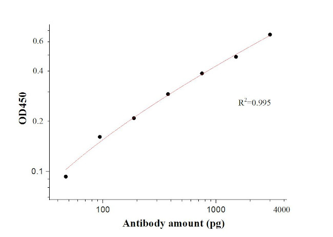 SARS-CoV-2 S protein (944-1214 aa) Antibody in ELISA (ELISA)