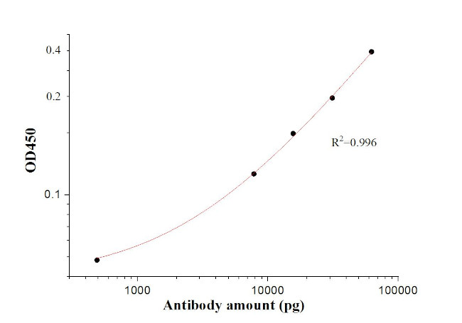 SARS-CoV-2 S protein (126-264 aa) Antibody in ELISA (ELISA)