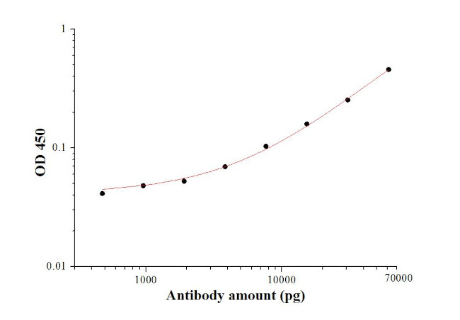 SARS-CoV-2 Membrane Glycoprotein Antibody in ELISA (ELISA)