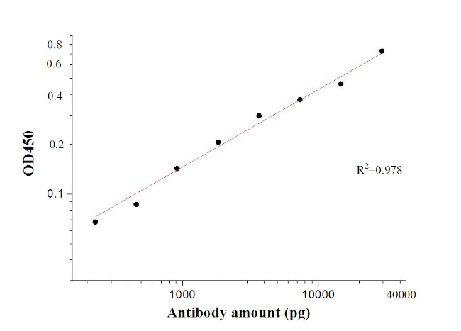 SARS-CoV-2 S protein (428-506 aa) Antibody in ELISA (ELISA)