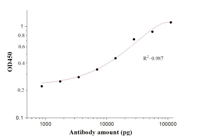 SARS-CoV-2 Envelope Protein Antibody in ELISA (ELISA)