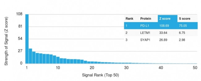 PD-L1/PDCD1LG1/CD274/B7-H1 (Cancer Immunotherapy Target) Antibody in Peptide array (ARRAY)