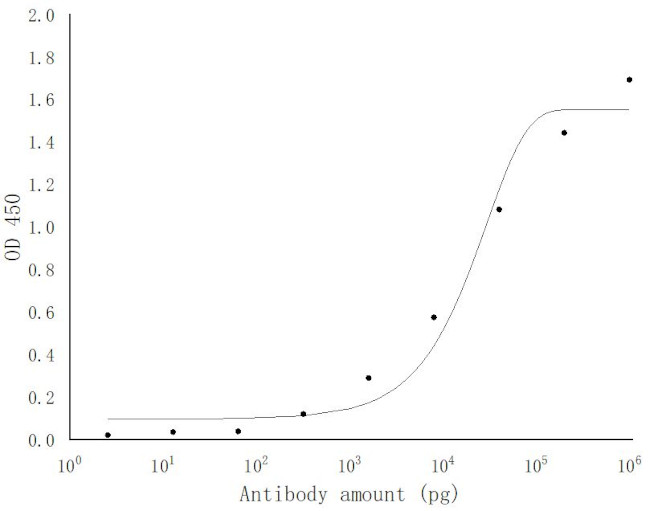 SARS-COV-2 NSP8 Antibody in ELISA (ELISA)