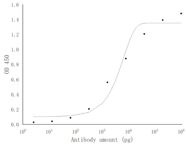 SARS-COV-2 NSP12 Antibody in ELISA (ELISA)