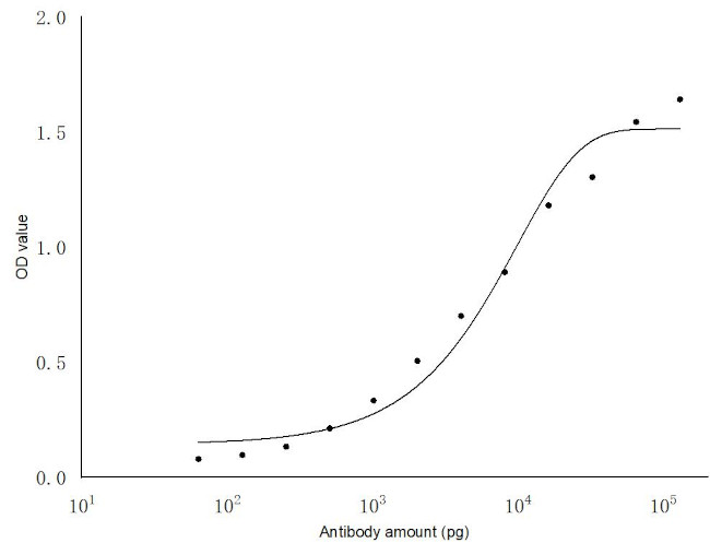 SARS-COV-2 NSP12 Antibody in ELISA (ELISA)