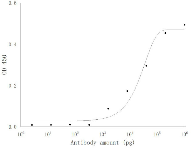 SARS-COV-2 NSP13 Antibody in ELISA (ELISA)