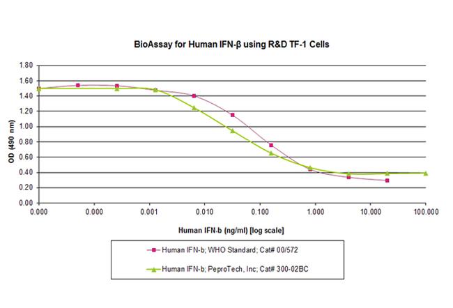 Human IFN-beta Protein in Functional Assay (FN)