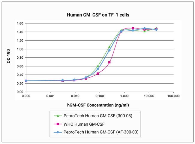 Human GM-CSF Protein in Functional Assay (FN)