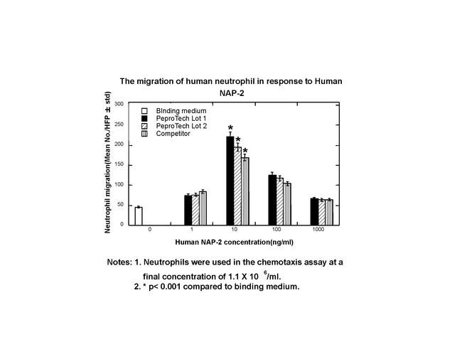 Human NAP-2 (CXCL7) Protein in Functional Assay (Functional)