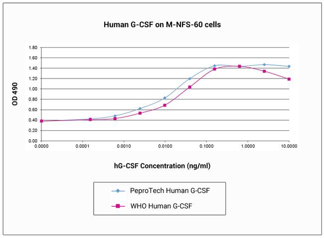 Human G-CSF Protein in Functional Assay (FN)