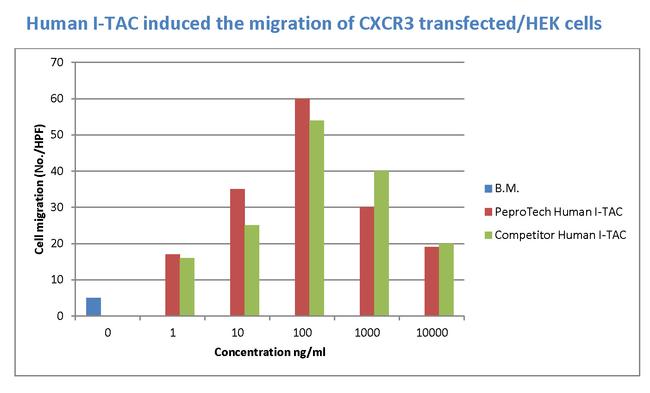 Human I-TAC (CXCL11) Protein in Functional Assay (Functional)