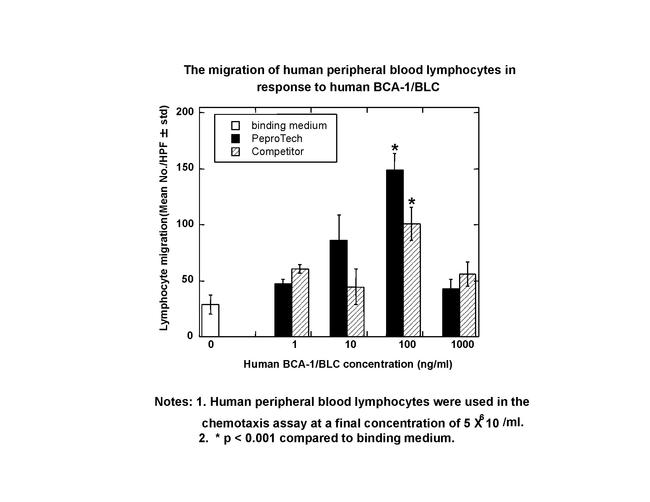 Human CXCL13 (BLC/BCA-1) Protein in Functional Assay (Functional)