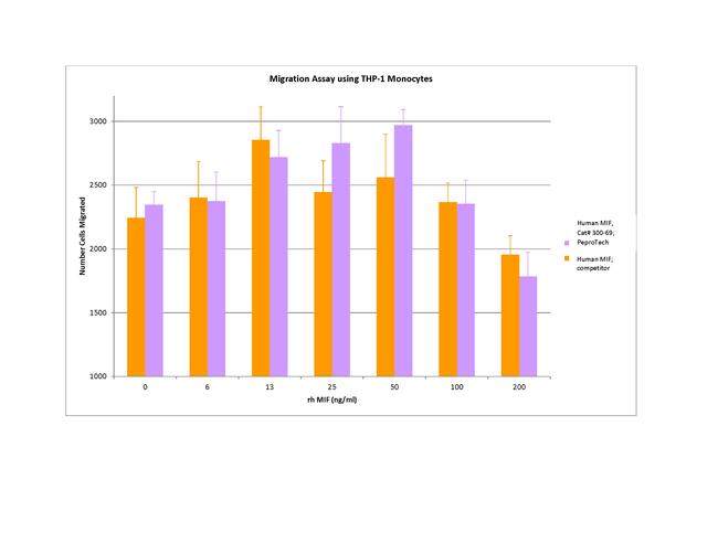 Human MIF Protein in Functional Assay (FN)