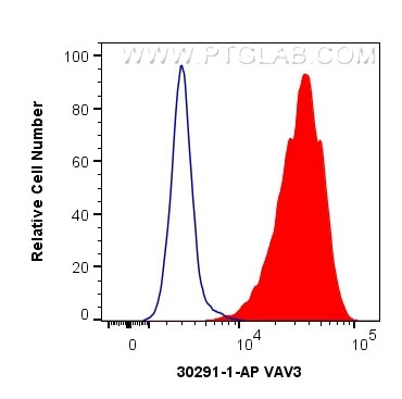 VAV3 Antibody in Flow Cytometry (Flow)