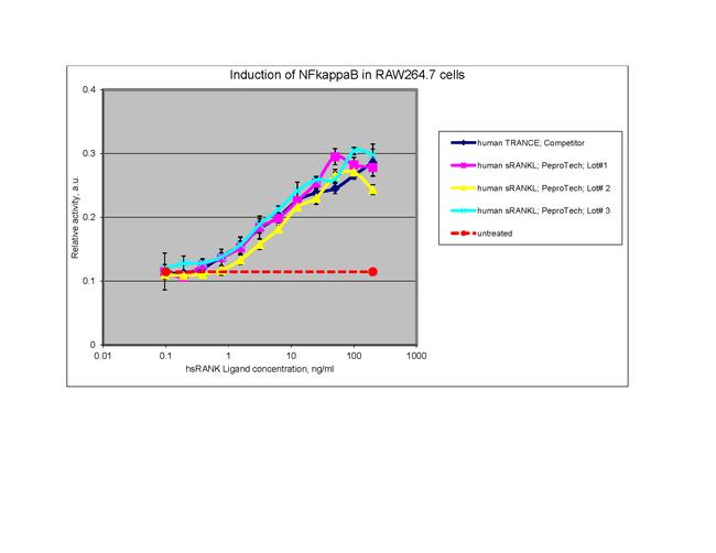 Human TRANCE (RANKL) (soluble) Protein in Functional Assay (FN)