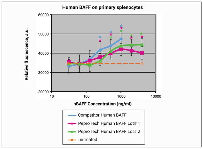 Human BAFF (BLyS) Protein in Functional Assay (Functional)