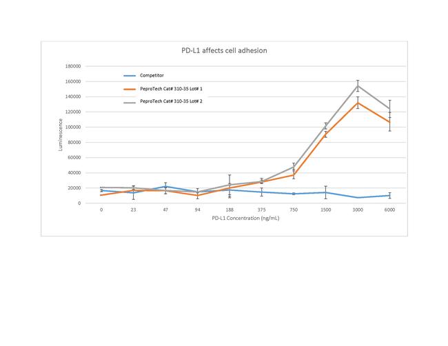 Human PD-L1 (B7-H1) Fc Protein in Functional Assay (FN)