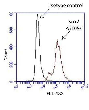 Rabbit IgG Isotype Control in Flow Cytometry (Flow)