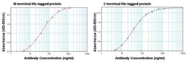 Mouse IgG (H+L) Secondary Antibody in ELISA (ELISA)