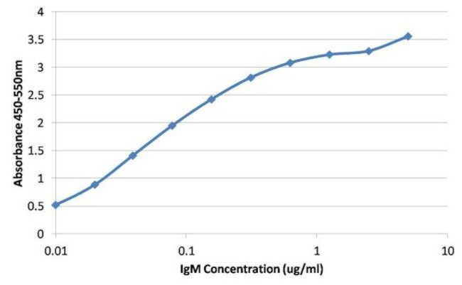 Mouse IgG Fc Cross-Adsorbed Secondary Antibody in ELISA (ELISA)